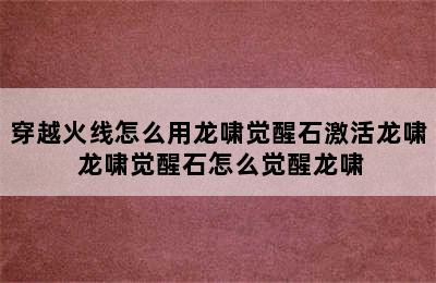 穿越火线怎么用龙啸觉醒石激活龙啸 龙啸觉醒石怎么觉醒龙啸